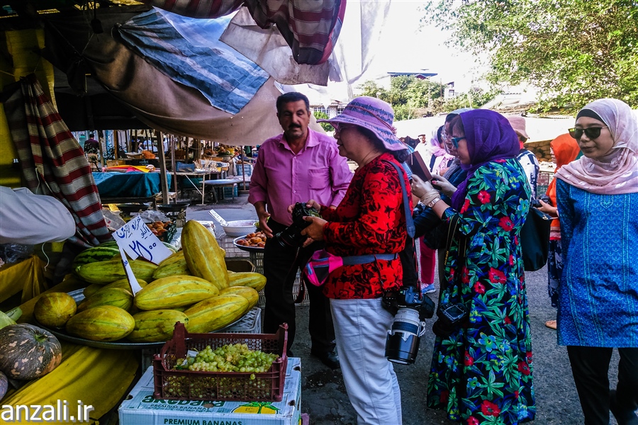 گزارش تصویری حضور چینیها در تور گردشگری جشنواره لالههای تالابی