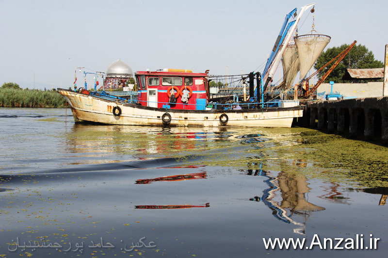 بازديد شهردار از بلوار بندرانزلي و يادمان شهدا
