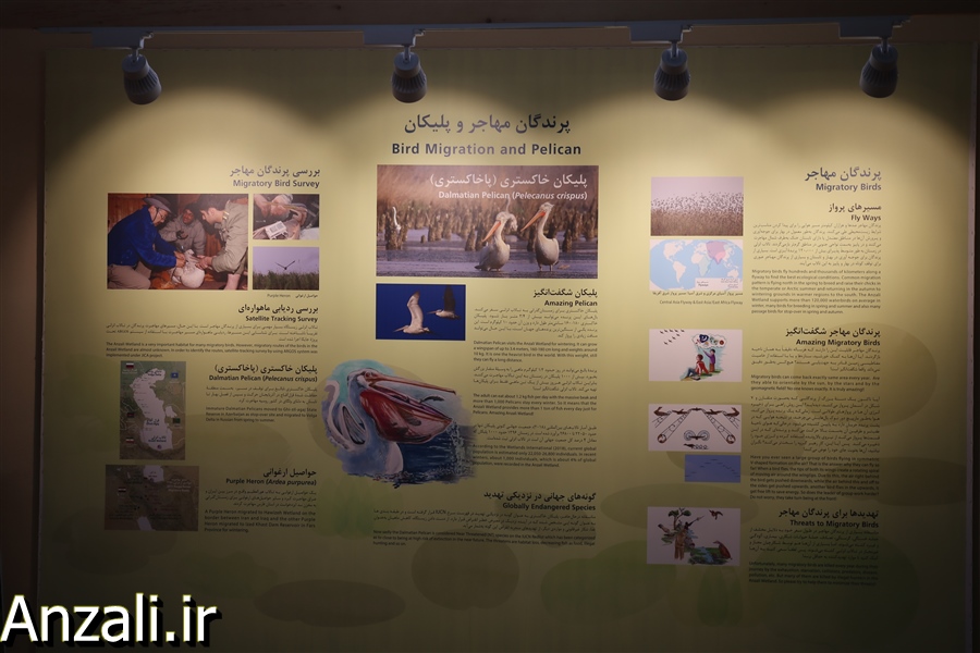آغاز به كار اولین مرکز بازدیدکنندگان تالاب انزلی با همكاري گروه همکاری های بین المللی ژاپن