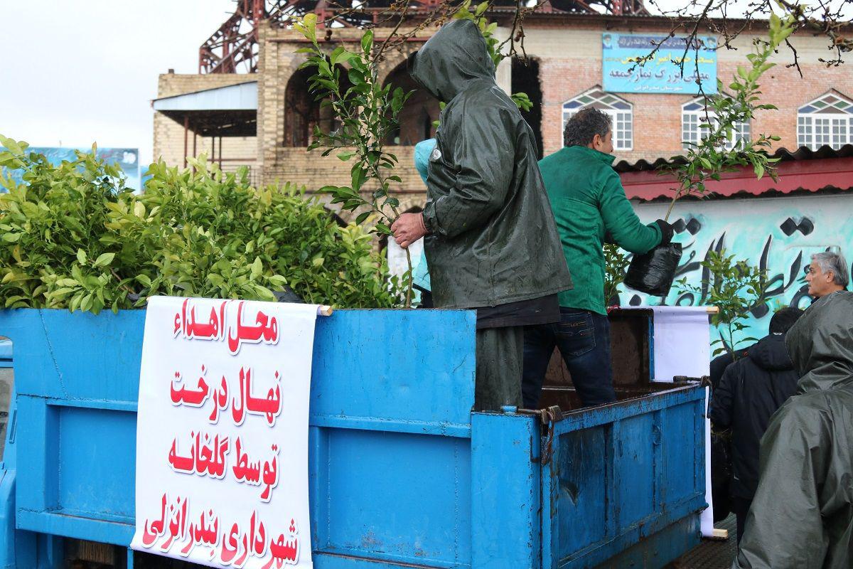 گزارش تصویری اهدا نهال توسط شهرداری بندرانزلی در محل مصلی نماز جمعه 