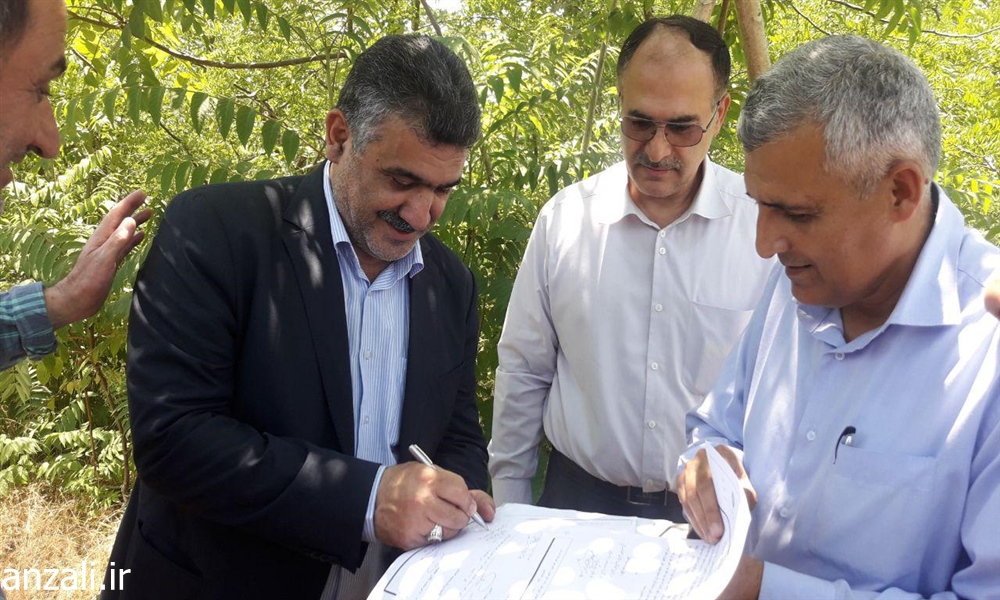 اخذ زمین توسط شهرداری انزلی برای اجرای طرح نگهداری احشام سرگردان و سگ های بی پناه